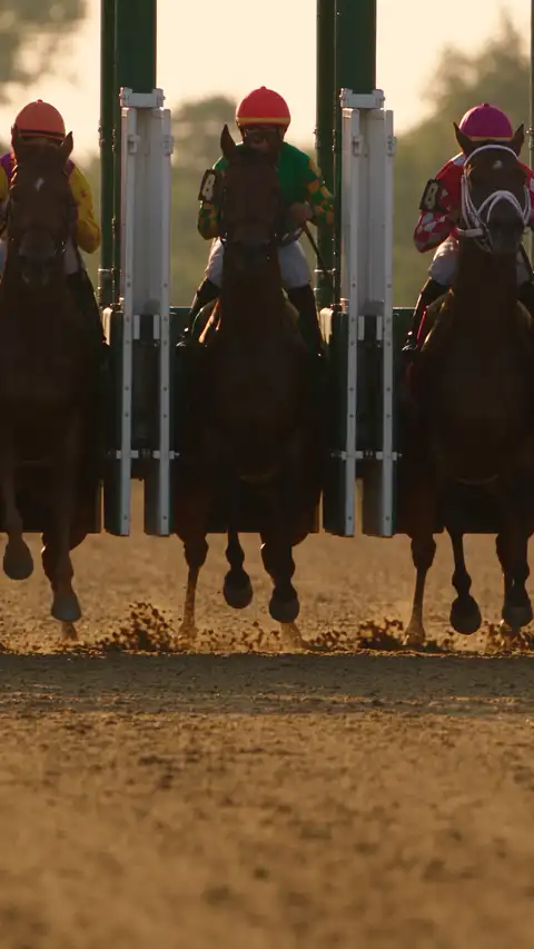 Horses break from the starting gates and drive down the stretch in low golden light, jockeys in bright silks